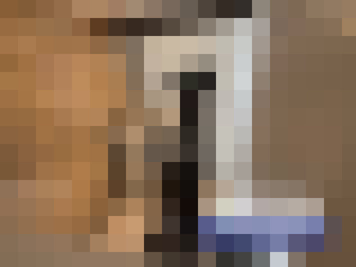  / #25