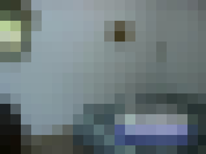 / #13