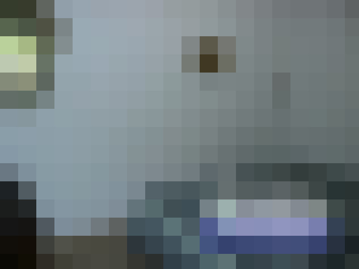  / #14