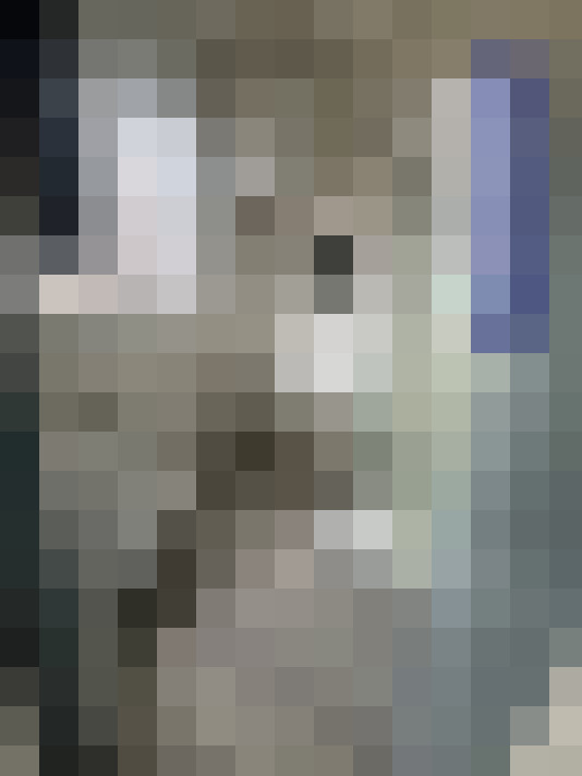  / #12