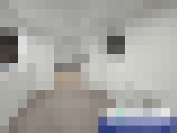  / #16