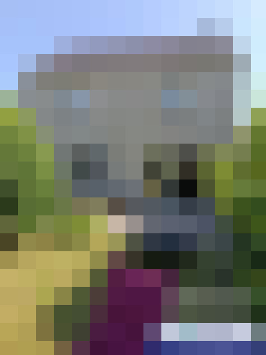  / #15