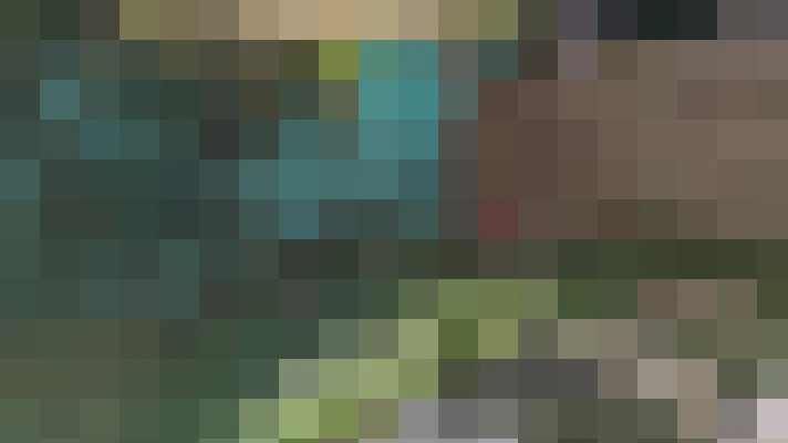  / #17