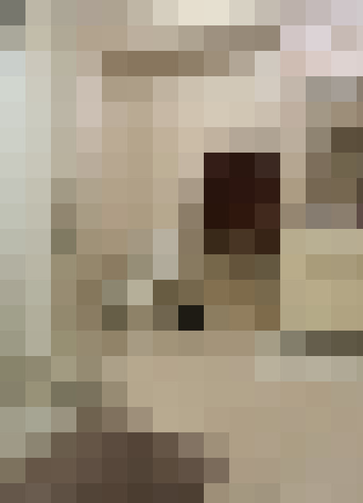  / #12