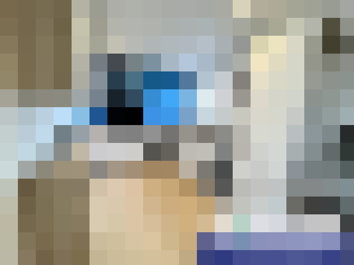  / #8