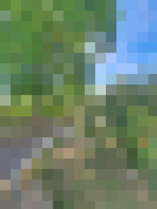  / #18