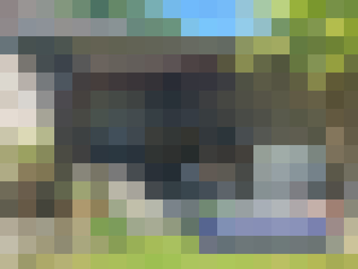  / #11