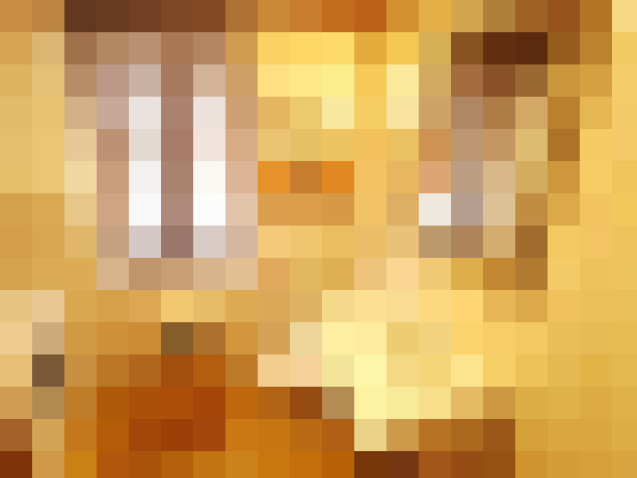  / #16