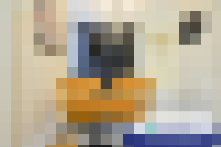  / #7