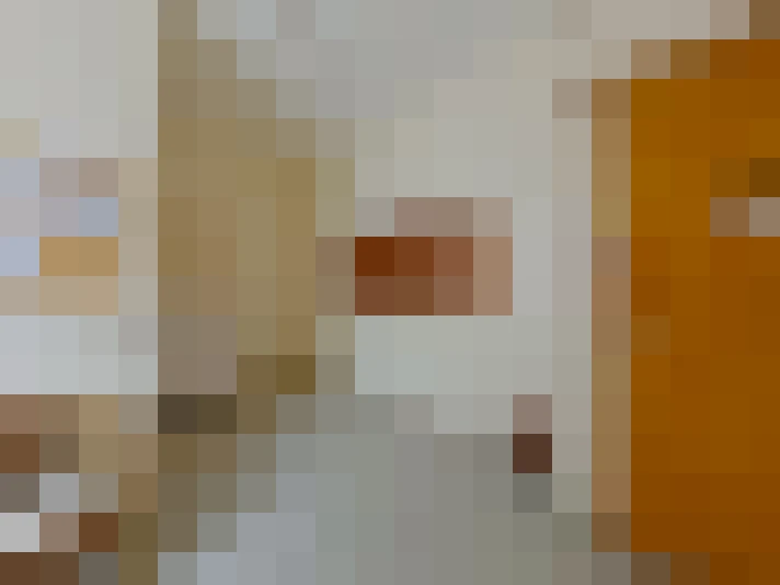  / #21