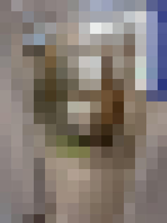  / #23