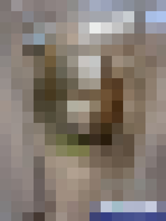  / #21