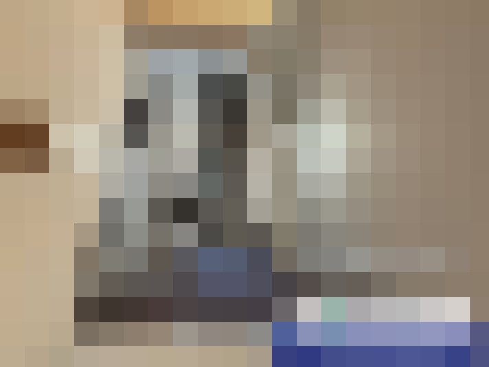  / #15