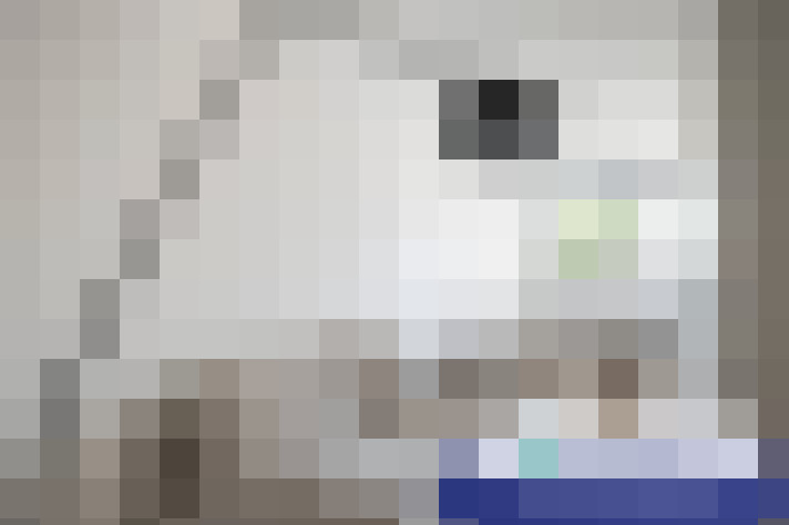  / #8