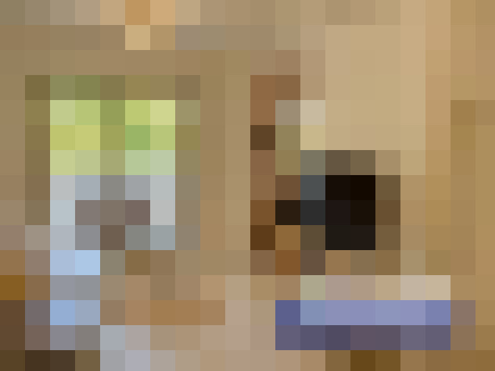  / #10