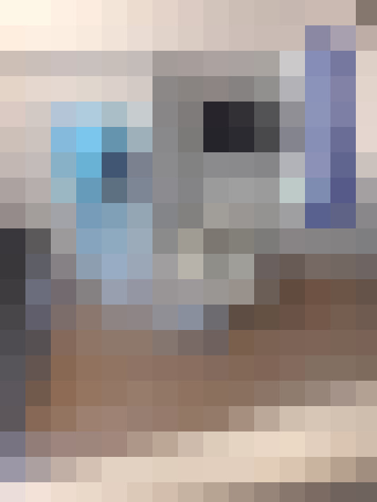  / #14