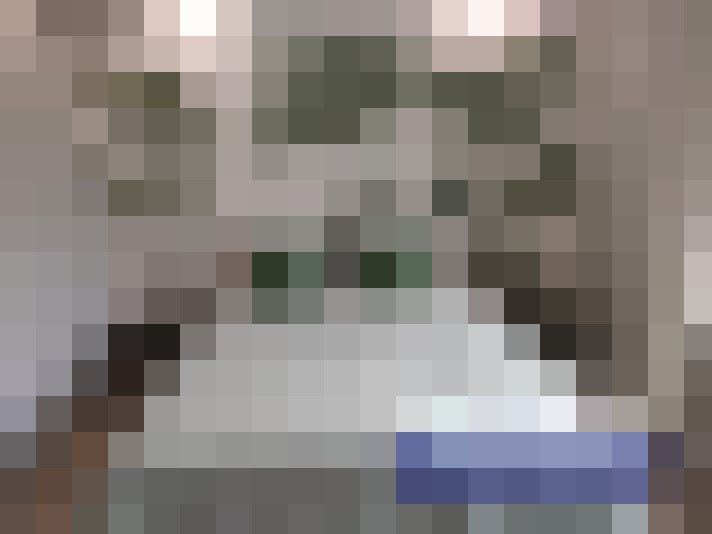  / #7
