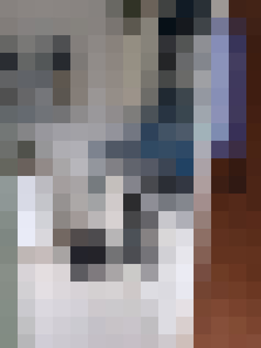  / #23