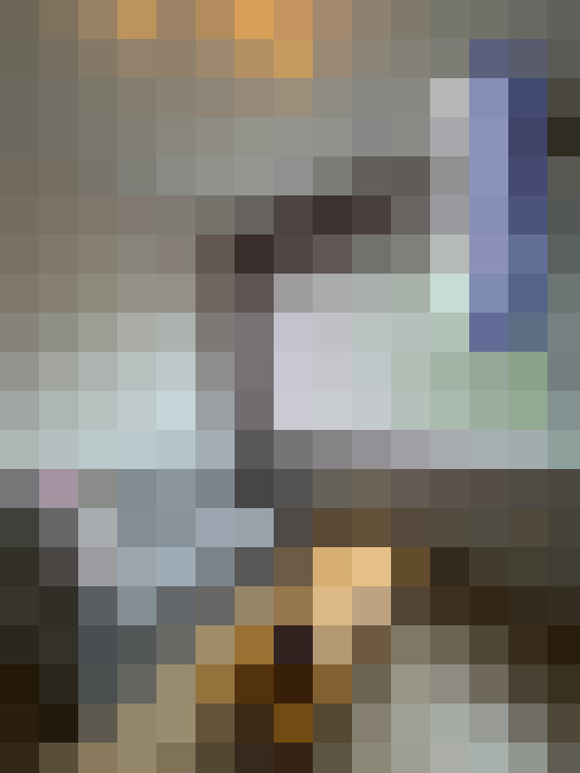  / #13