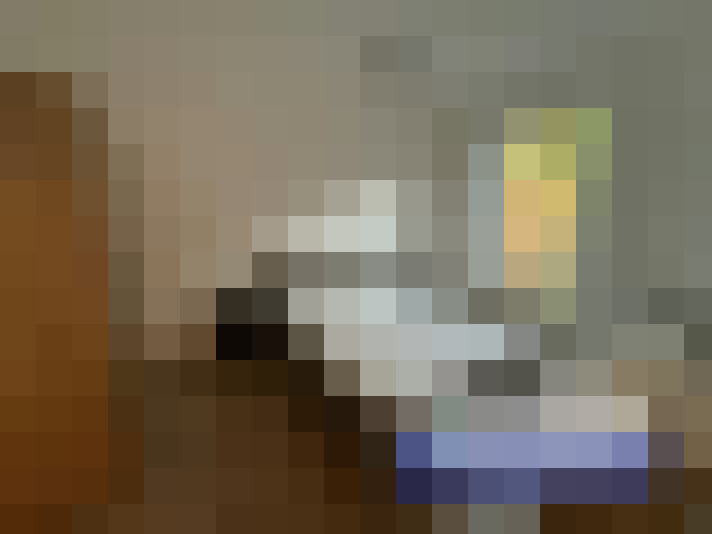  / #15