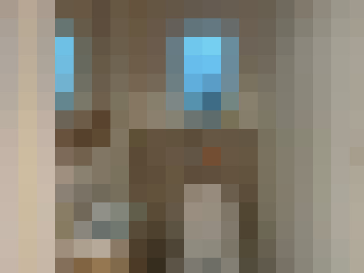  / #10