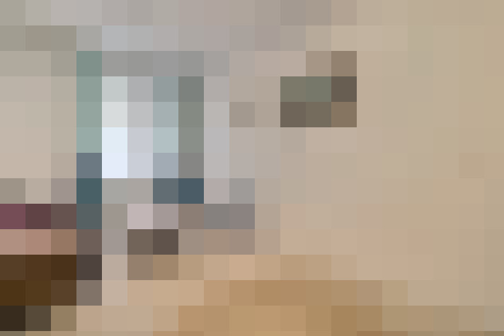  / #8
