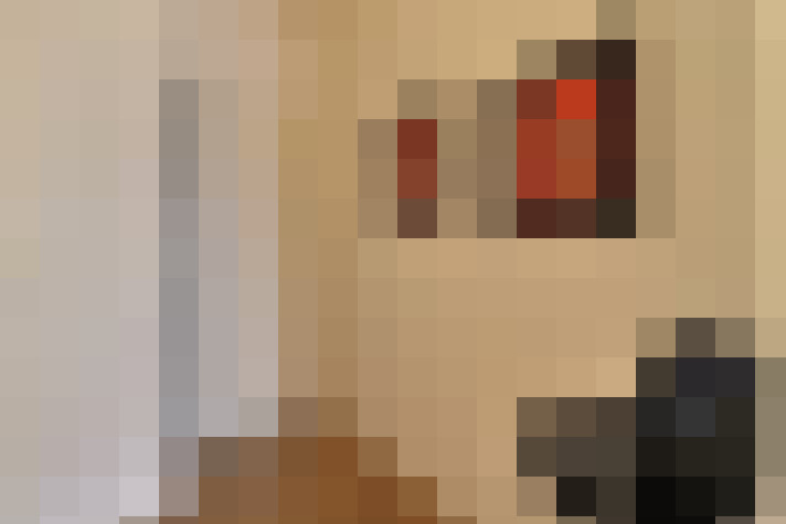  / #6