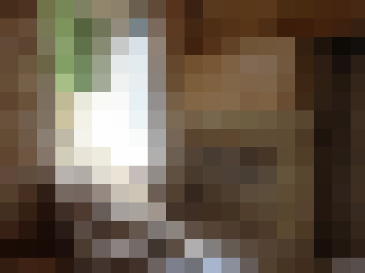  / #14