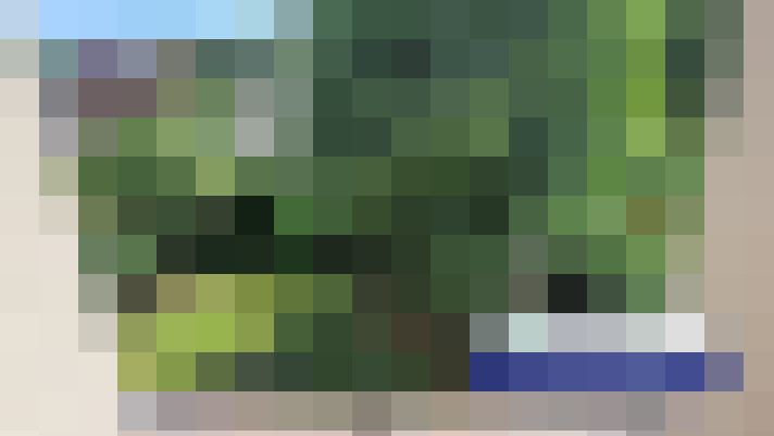  / #13