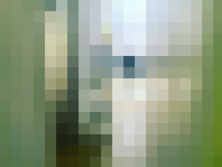  / #3