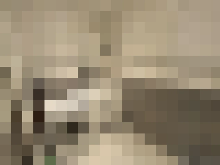  / #8