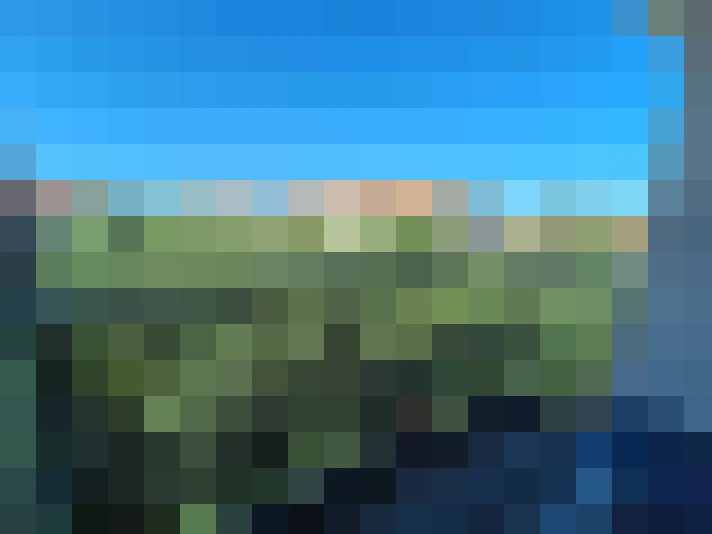  / #7