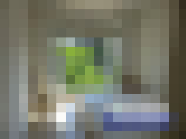  / #7