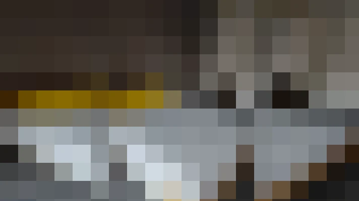  / #13