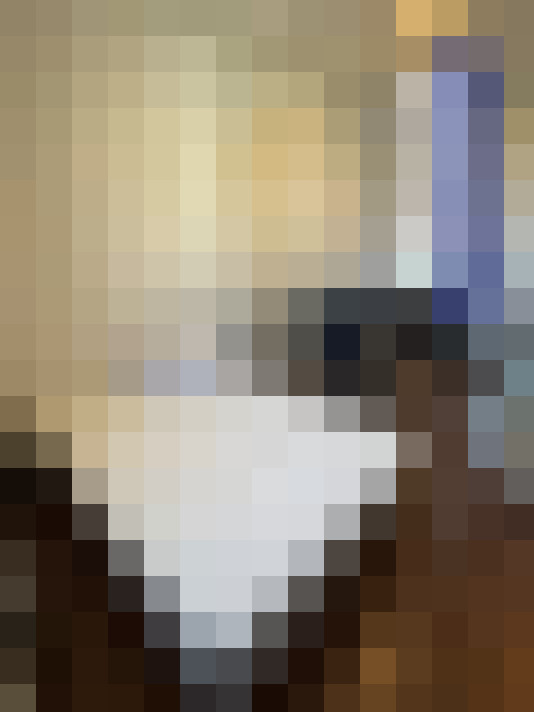  / #14