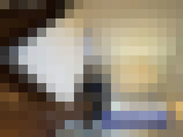 / #15