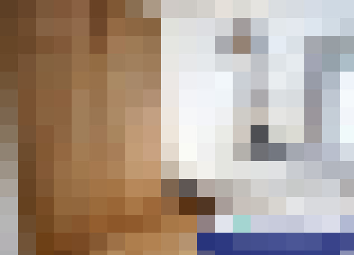  / #7