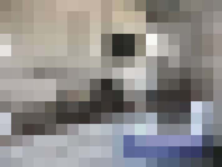  / #14