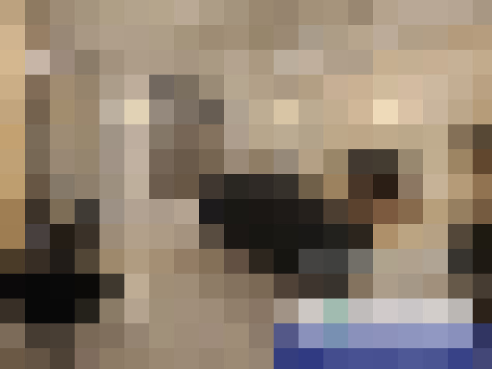  / #8