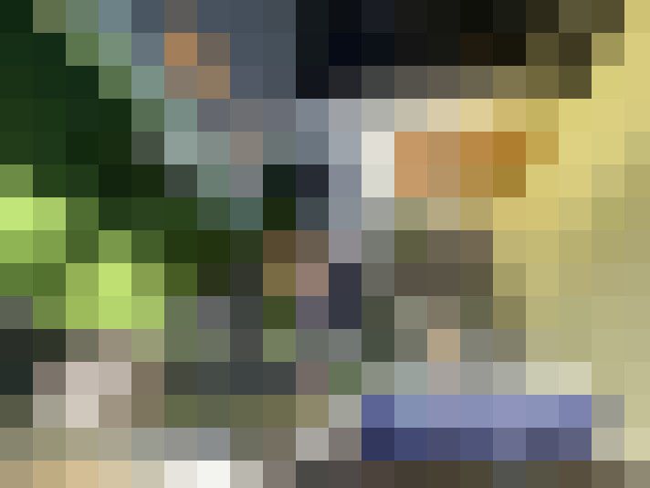  / #14