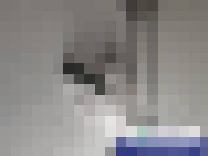  / #19
