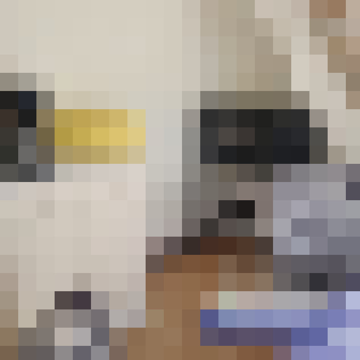  / #8
