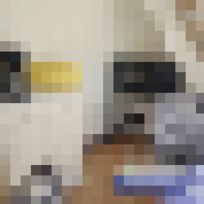  / #7