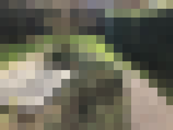  / #14