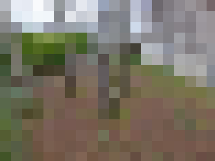  / #16