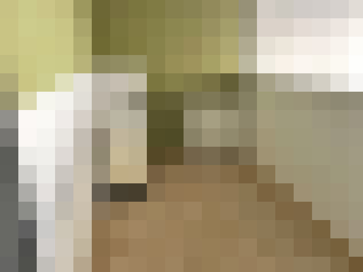  / #7