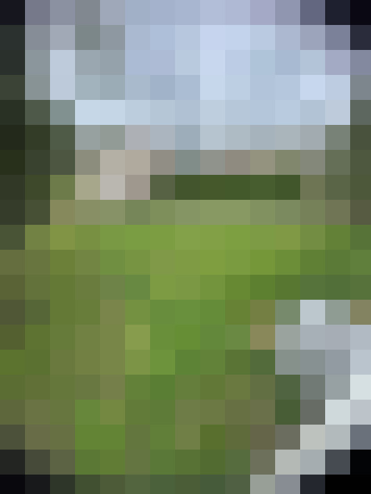  / #16