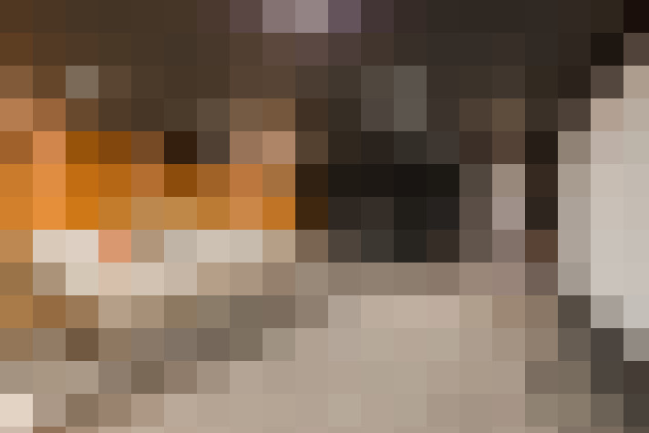  / #14