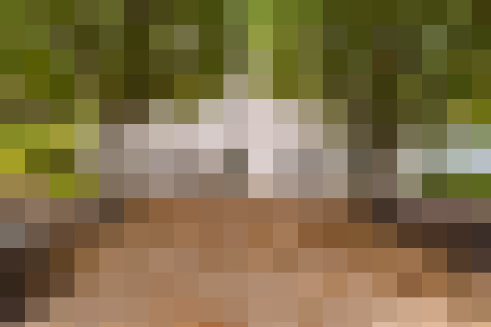  / #16