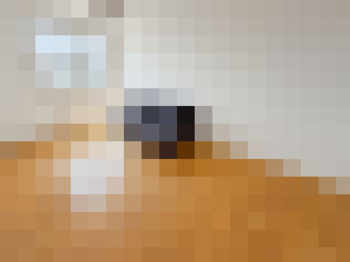  / #13
